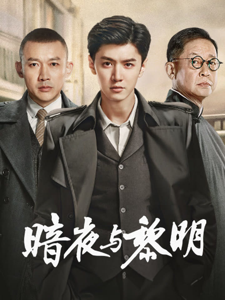 暗夜与黎明海报